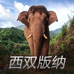 国王杯夺冠后，加维在阿森西奥面前高调庆祝